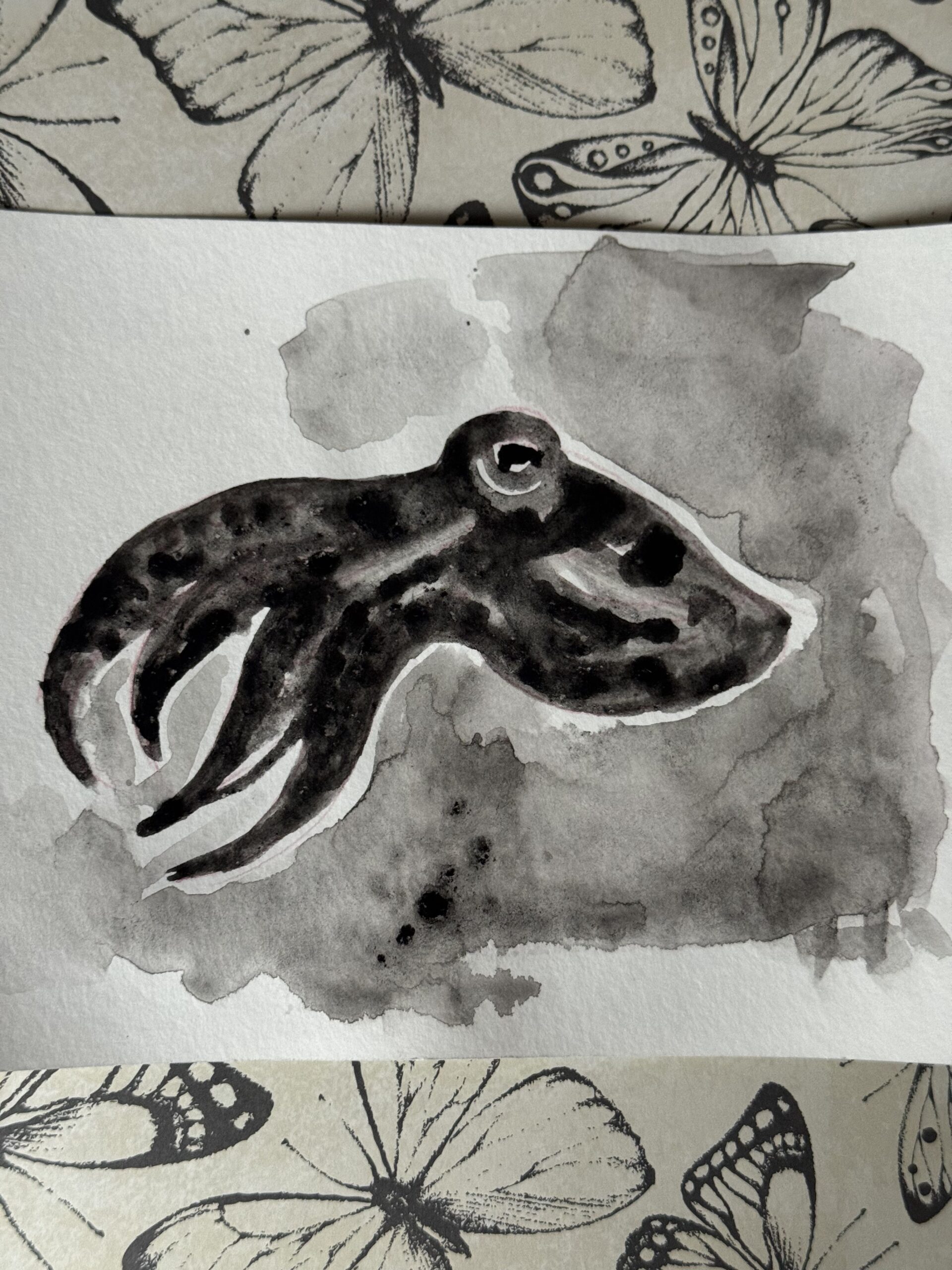 Жидкая сепия натуральная — изображение 2