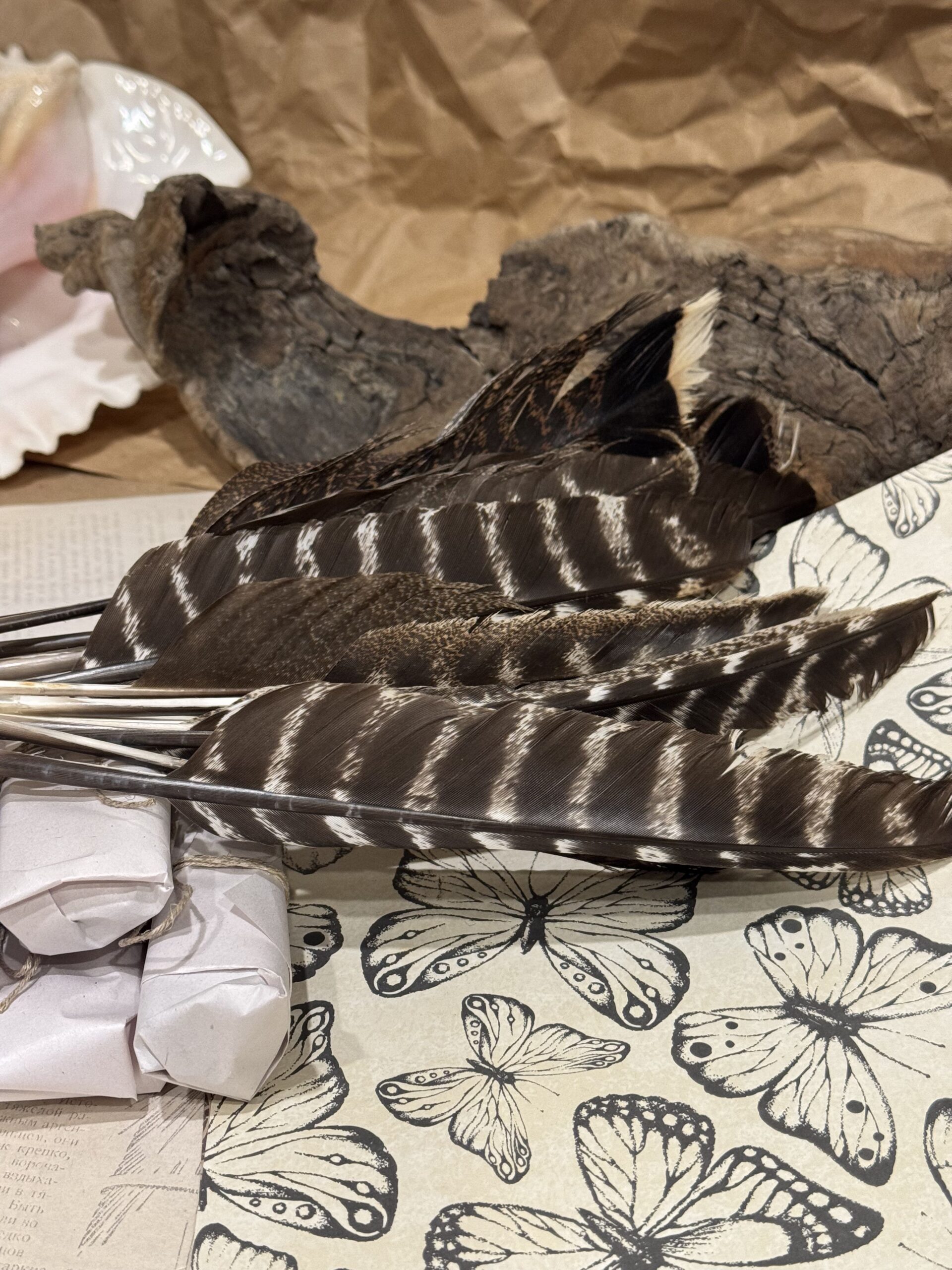 Писчие перья 2 шт