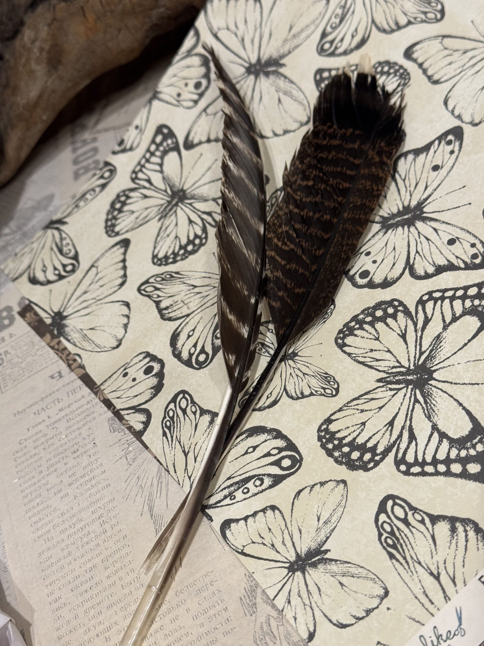 Писчие перья 2 шт — изображение 2