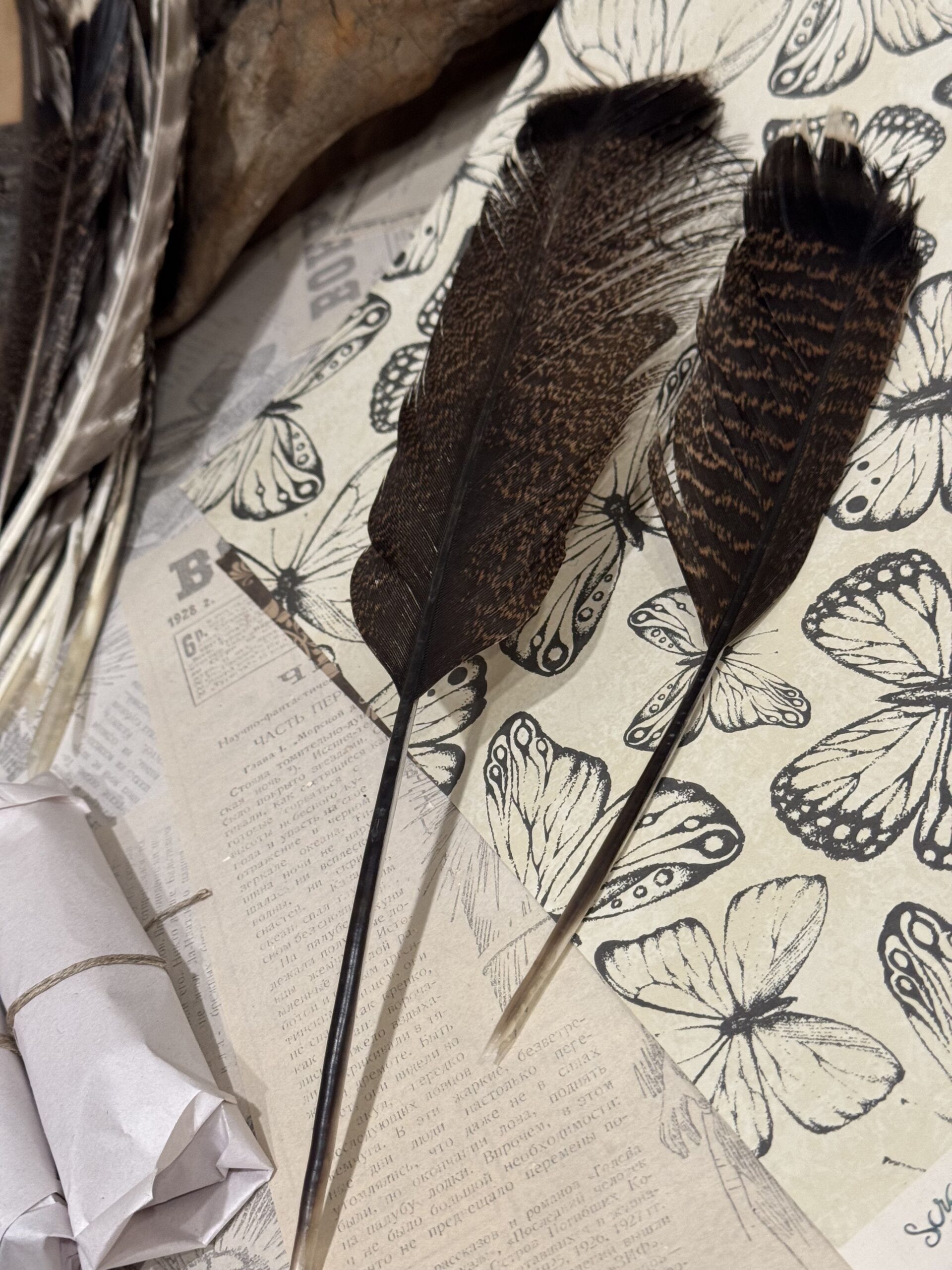 Писчие перья 2 шт — изображение 3