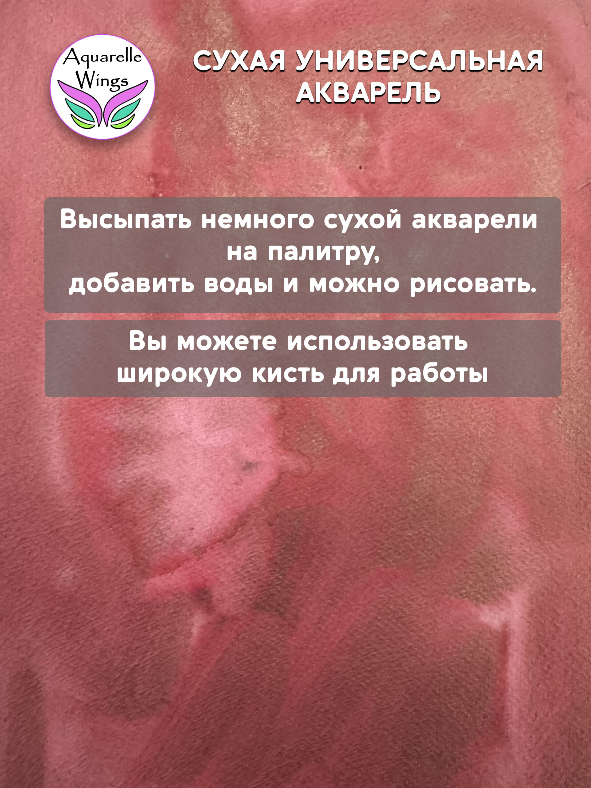 Саламандра 1 - сухая универсальная акварель — изображение 2