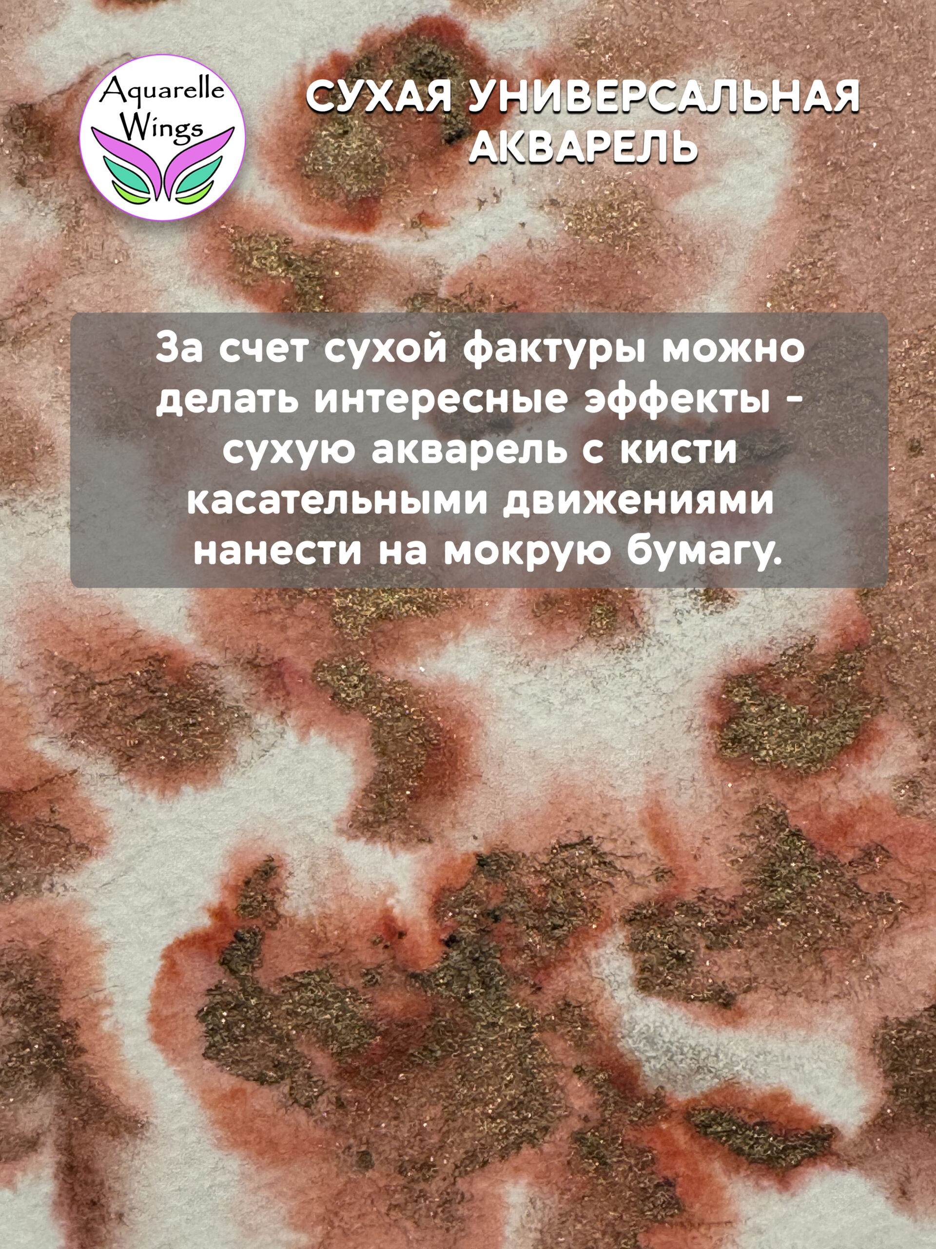 Саламандра 1 - сухая универсальная акварель — изображение 3