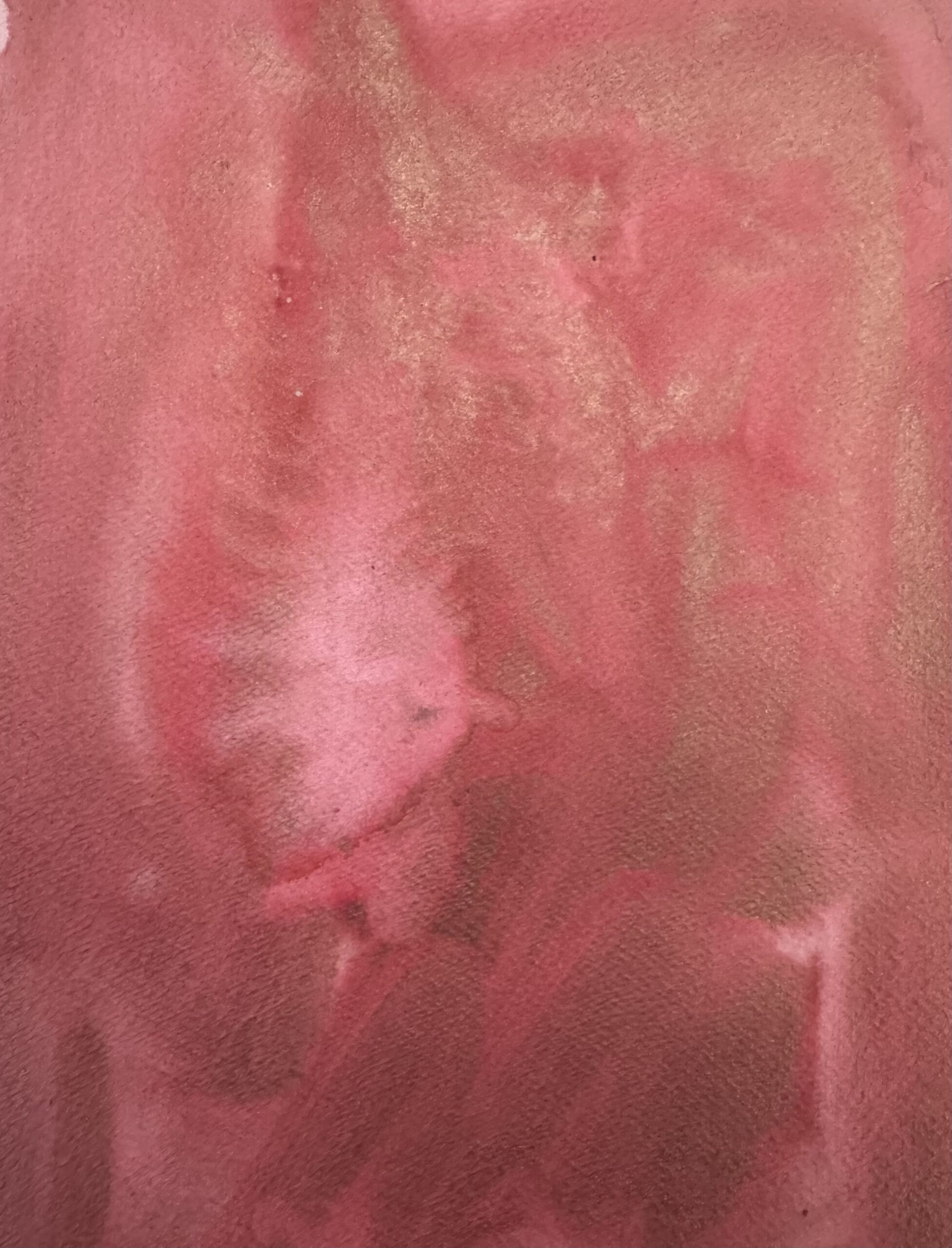 Саламандра 1 - сухая универсальная акварель — изображение 4