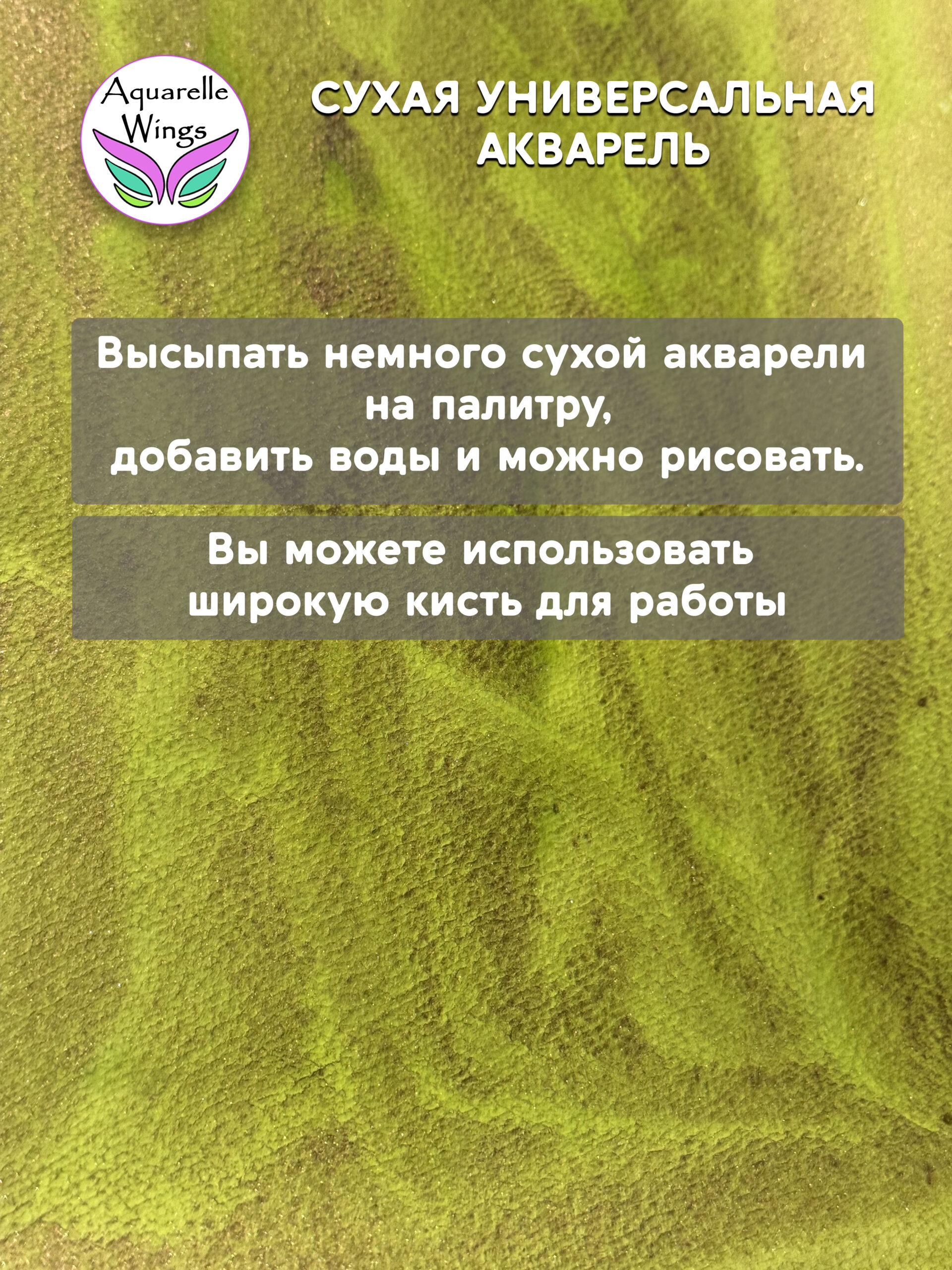 Саламандра 2 - сухая универсальная акварель — изображение 2