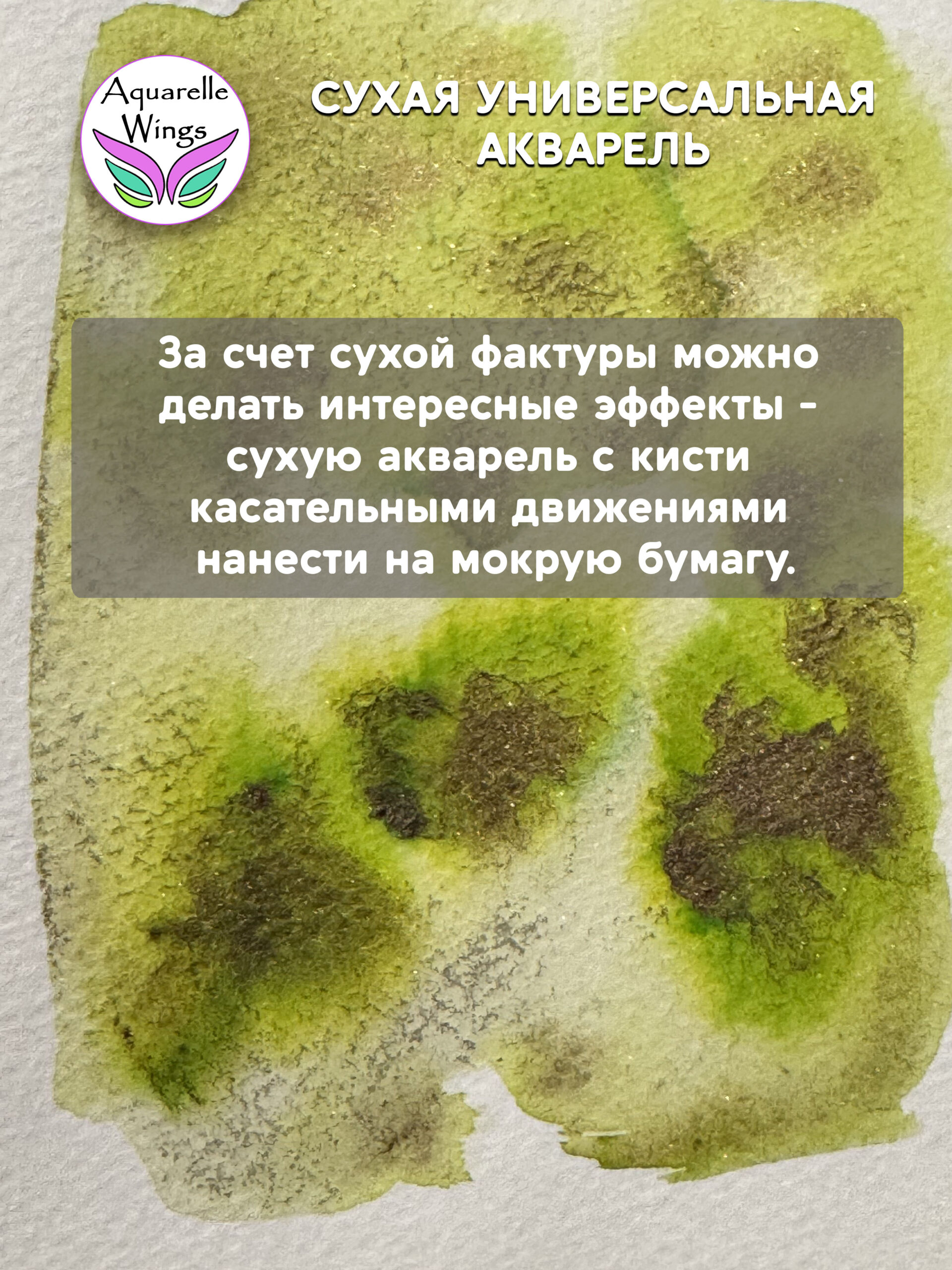 Саламандра 2 - сухая универсальная акварель — изображение 3