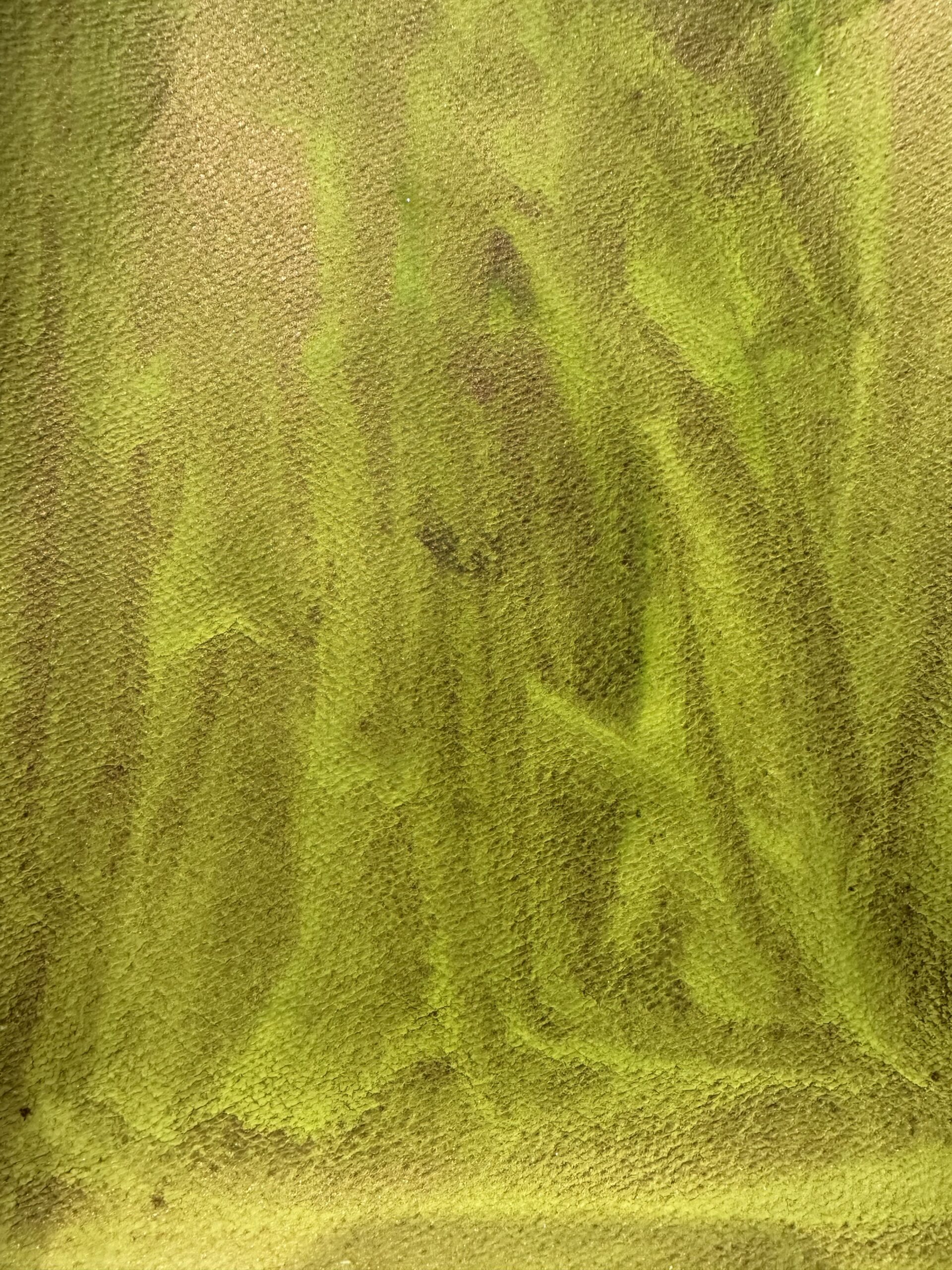 Саламандра 2 - сухая универсальная акварель — изображение 4