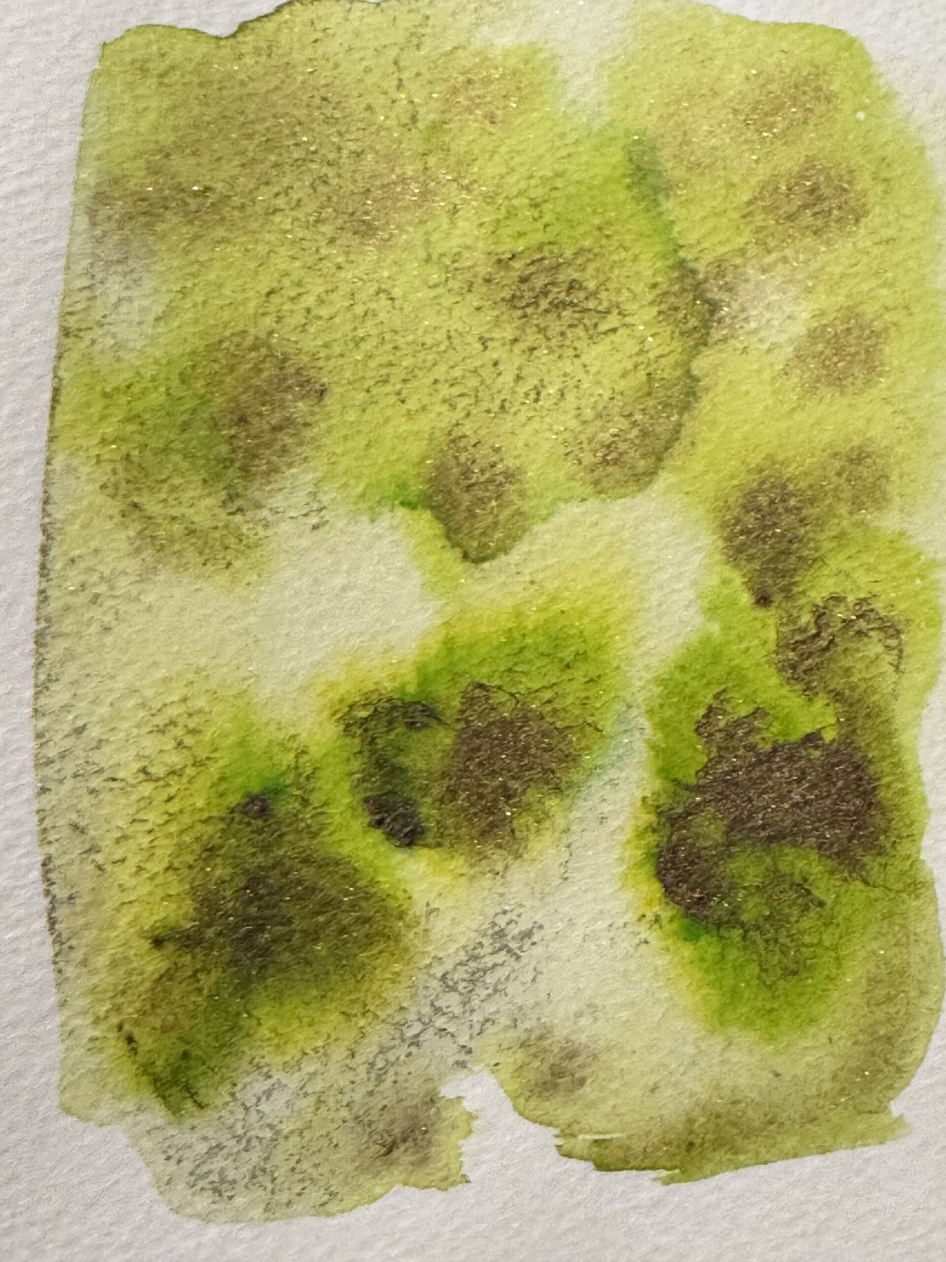 Саламандра 2 - сухая универсальная акварель — изображение 5