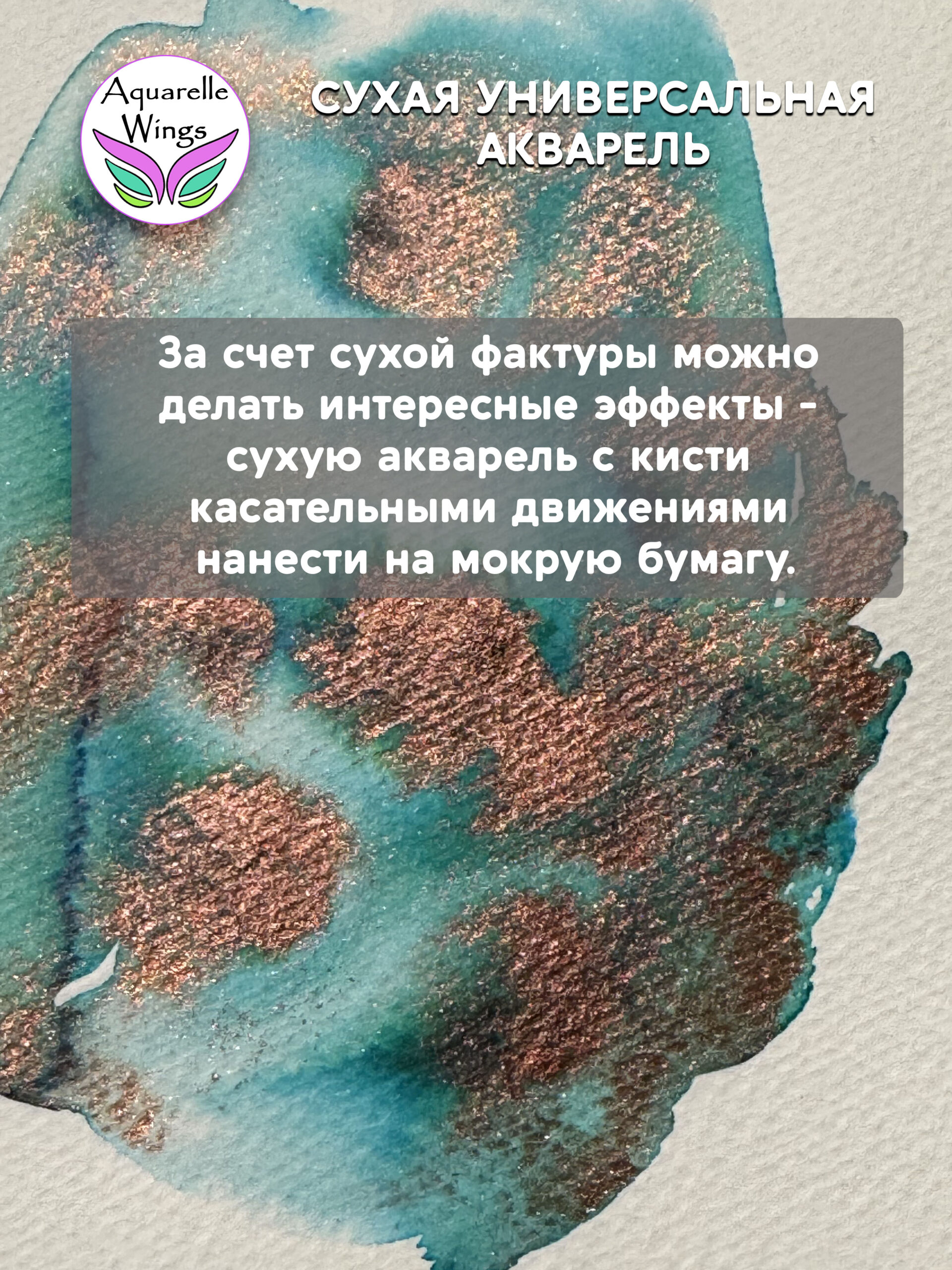Саламандра 3 - сухая универсальная акварель — изображение 3