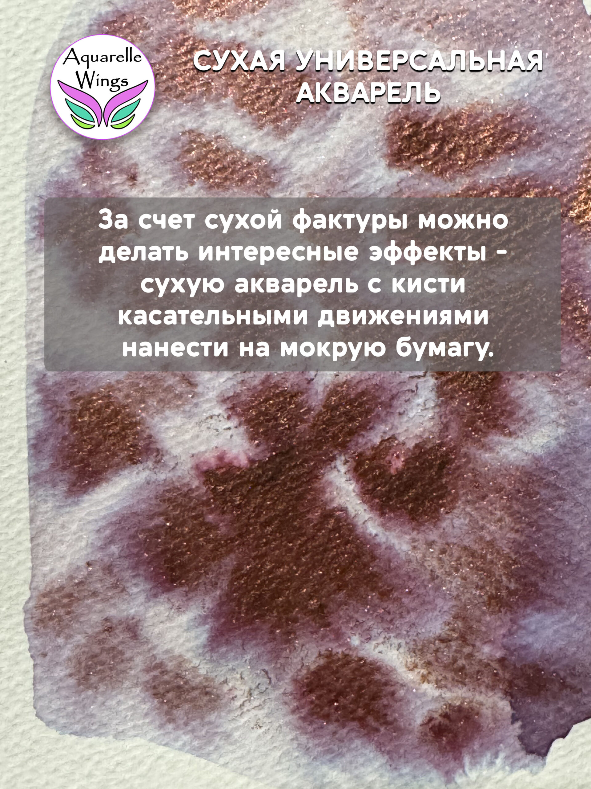 Саламандра 4 - сухая универсальная акварель — изображение 3