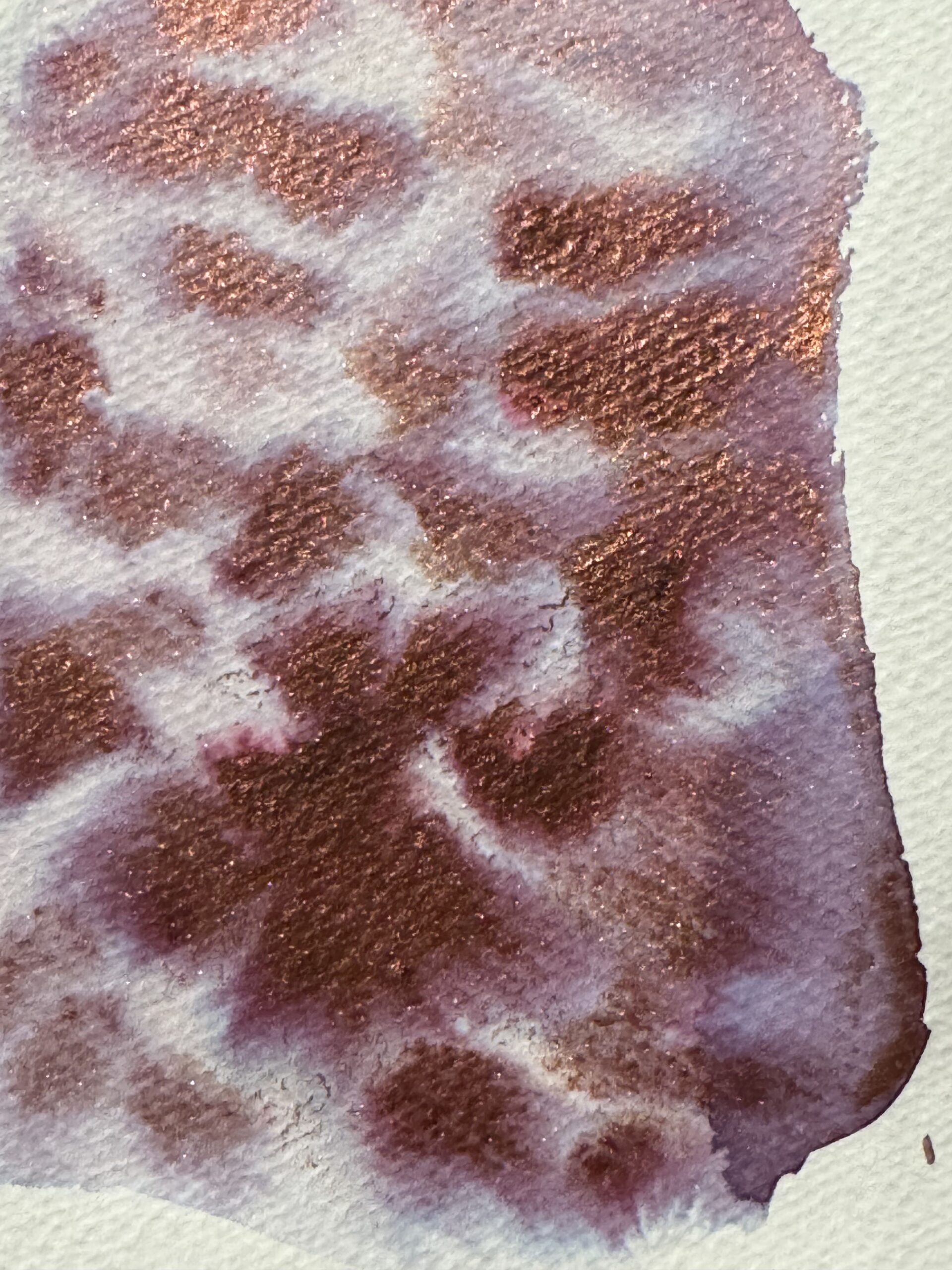 Саламандра 4 - сухая универсальная акварель — изображение 5