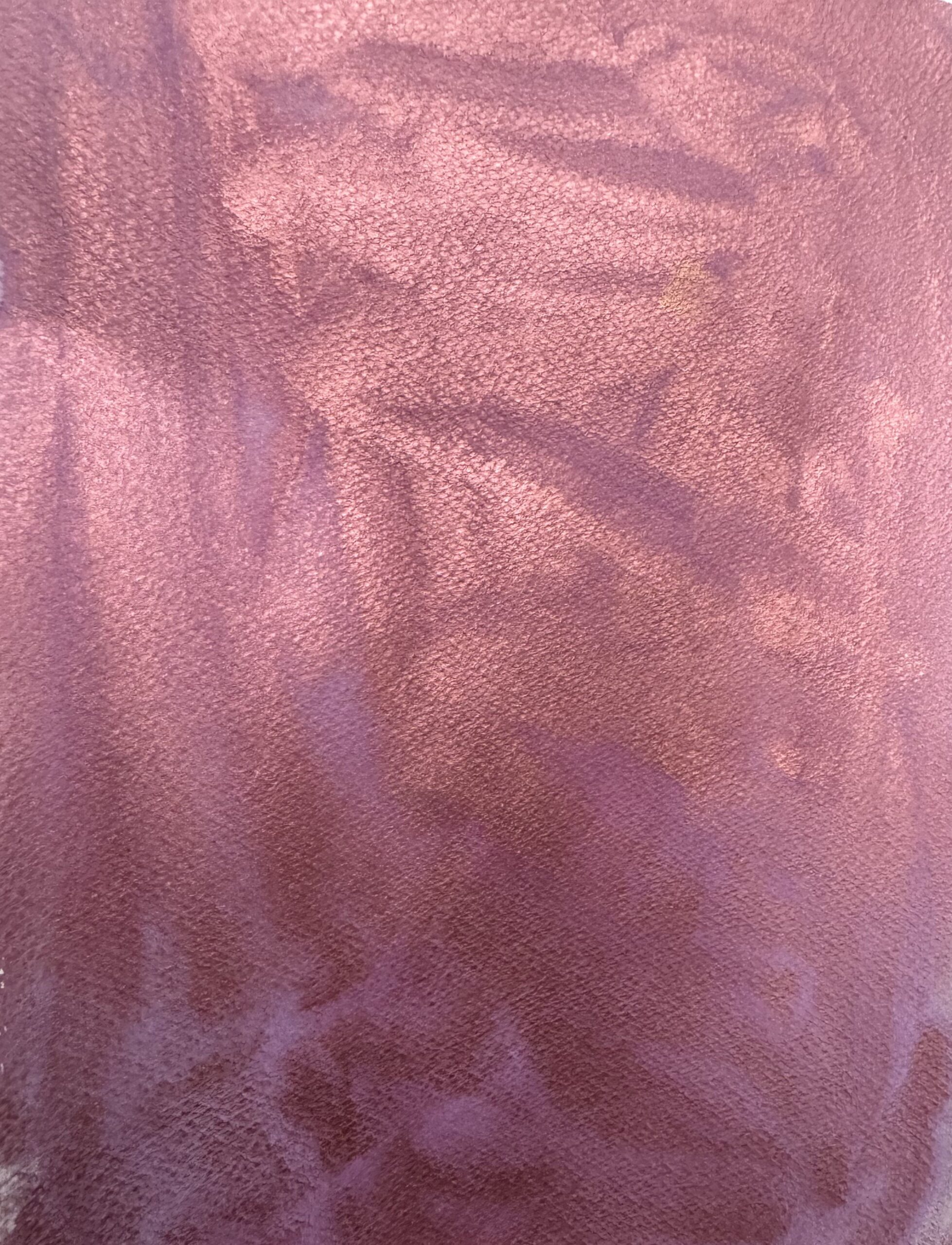 Саламандра 4 - сухая универсальная акварель — изображение 6