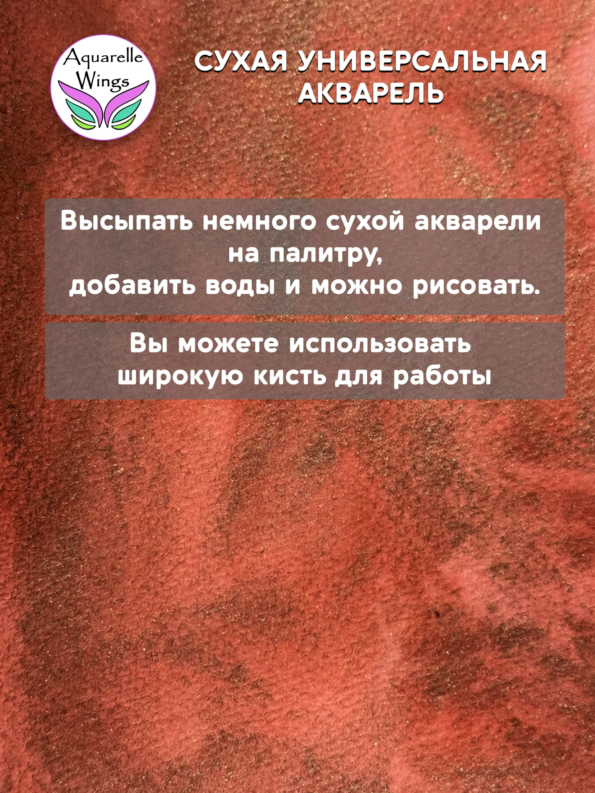 Саламандра 5 - сухая универсальная акварель — изображение 2