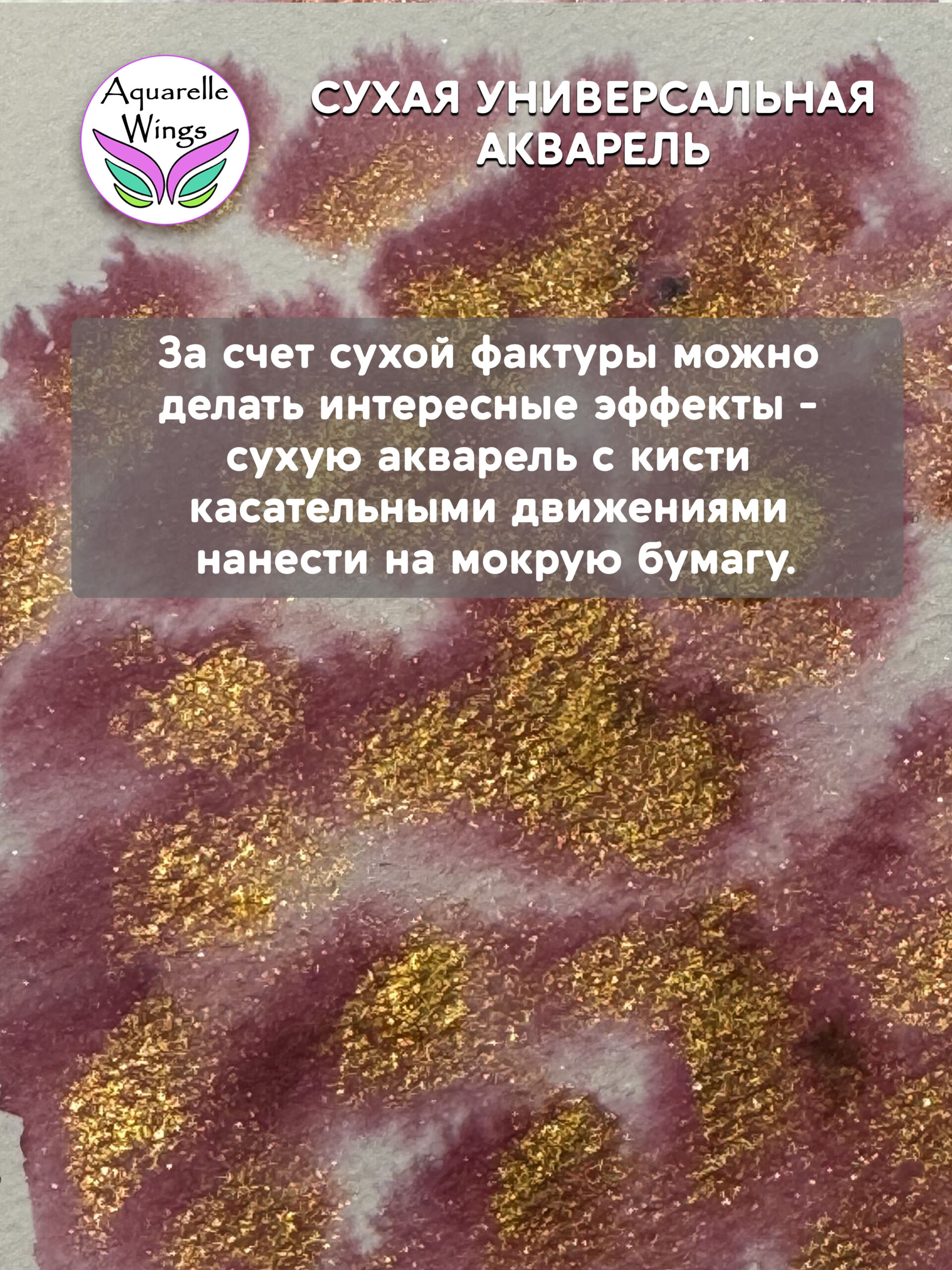 Саламандра 5 - сухая универсальная акварель — изображение 3