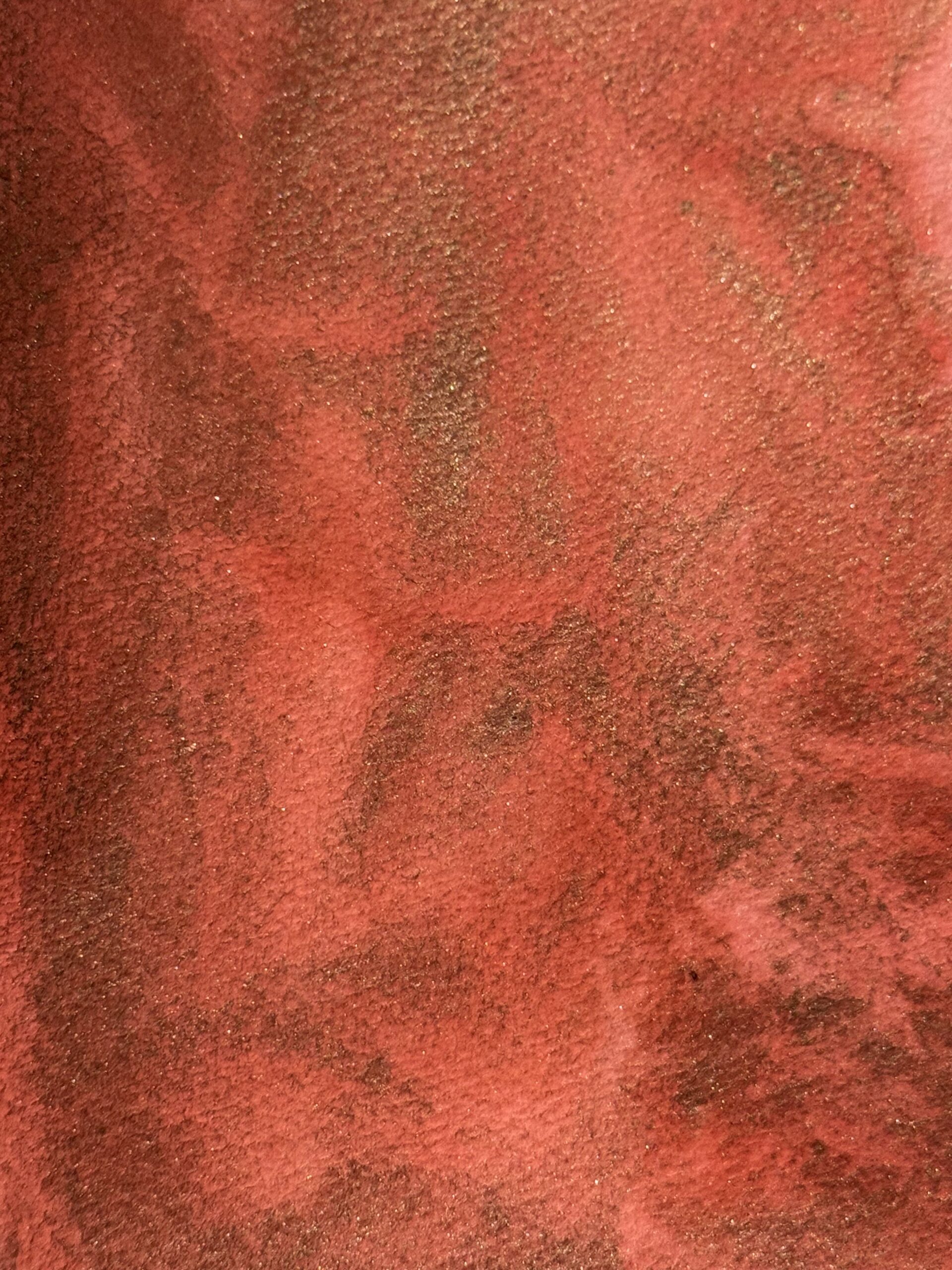 Саламандра 5 - сухая универсальная акварель — изображение 4