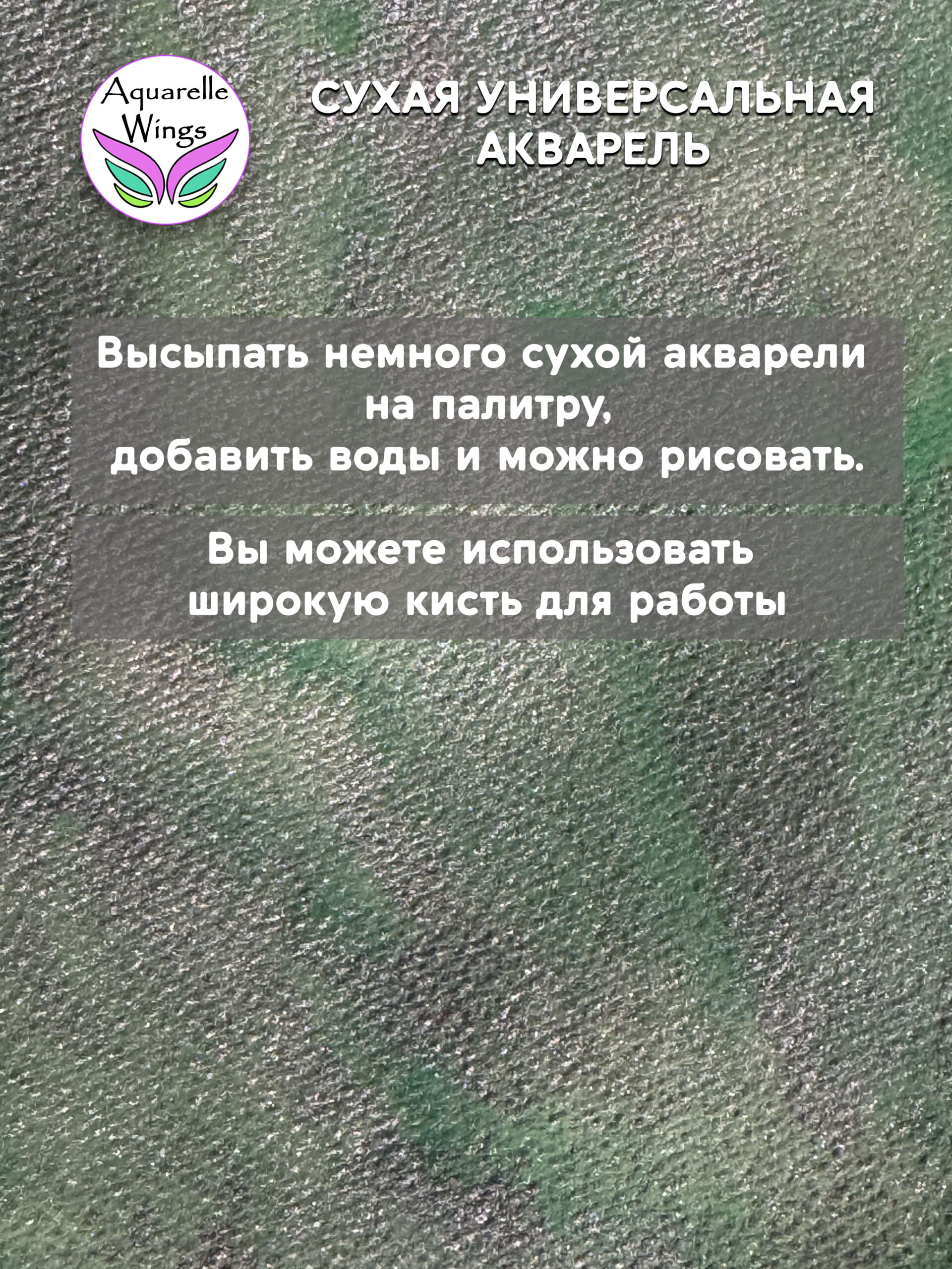 Саламандра 6 - сухая универсальная акварель — изображение 2