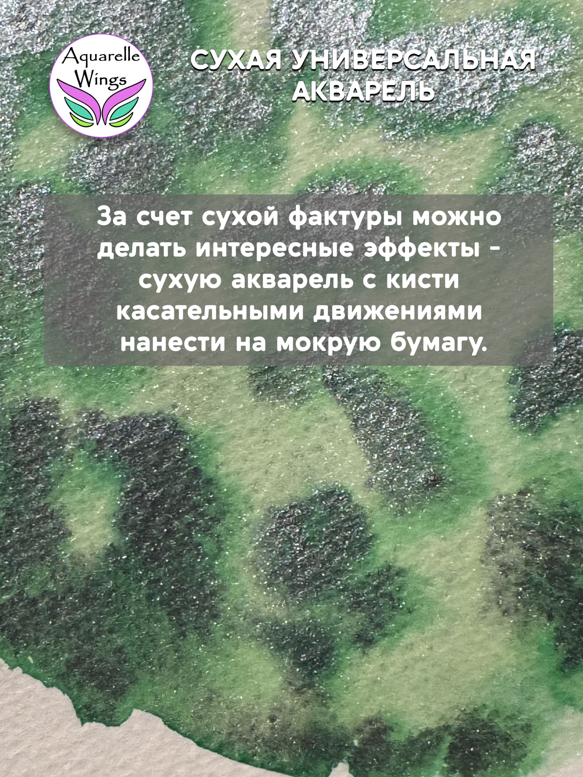 Саламандра 6 - сухая универсальная акварель — изображение 3