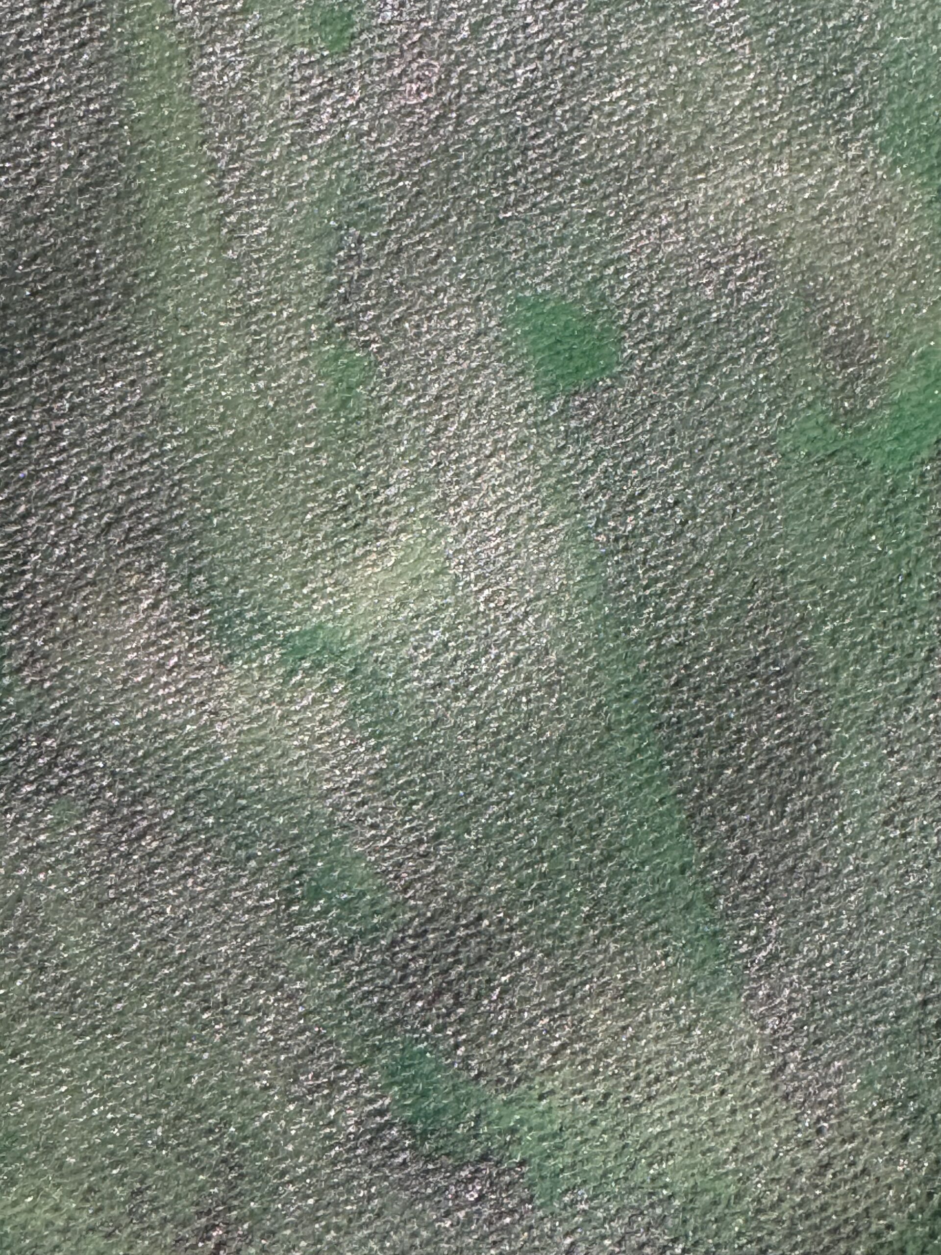 Саламандра 6 - сухая универсальная акварель — изображение 4