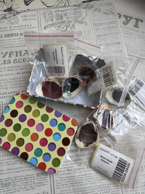 Набор 6 ракушек "Пенал с кружками" уценка