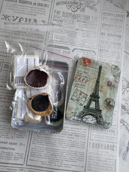 Набор 6 ракушек "Пенал Париж" уценка