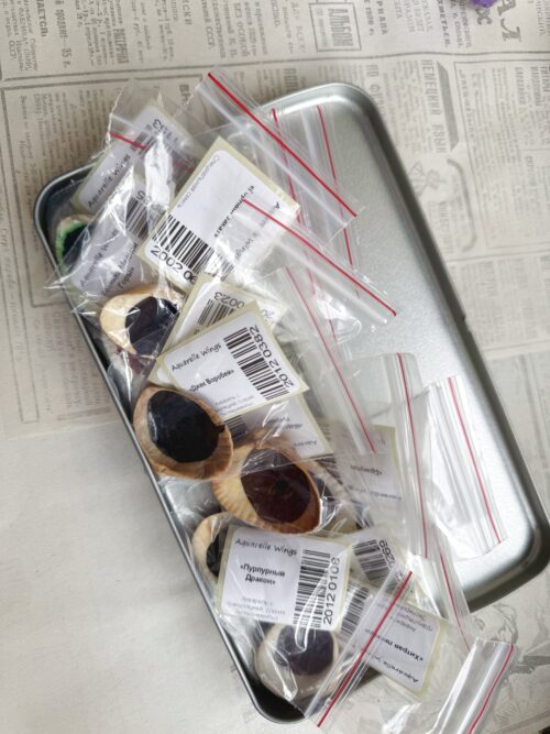 Набор 12 ракушек в пенале уценка #2