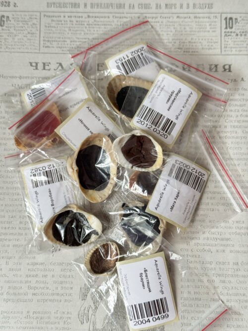 Набор 7 + 1 в ракушках